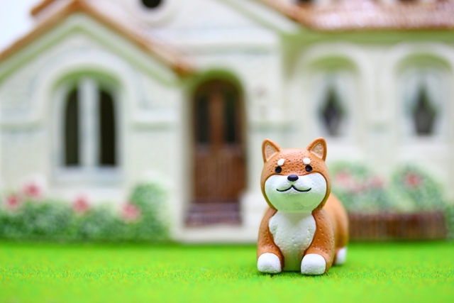 家で留守番する犬