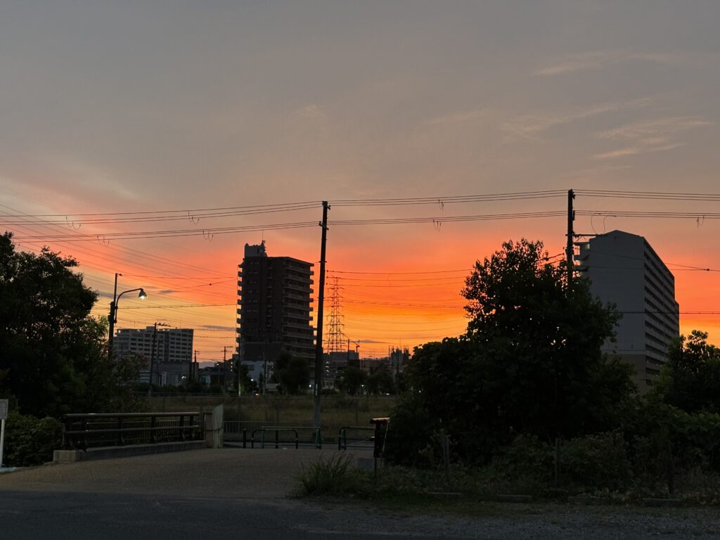 日の出の写真