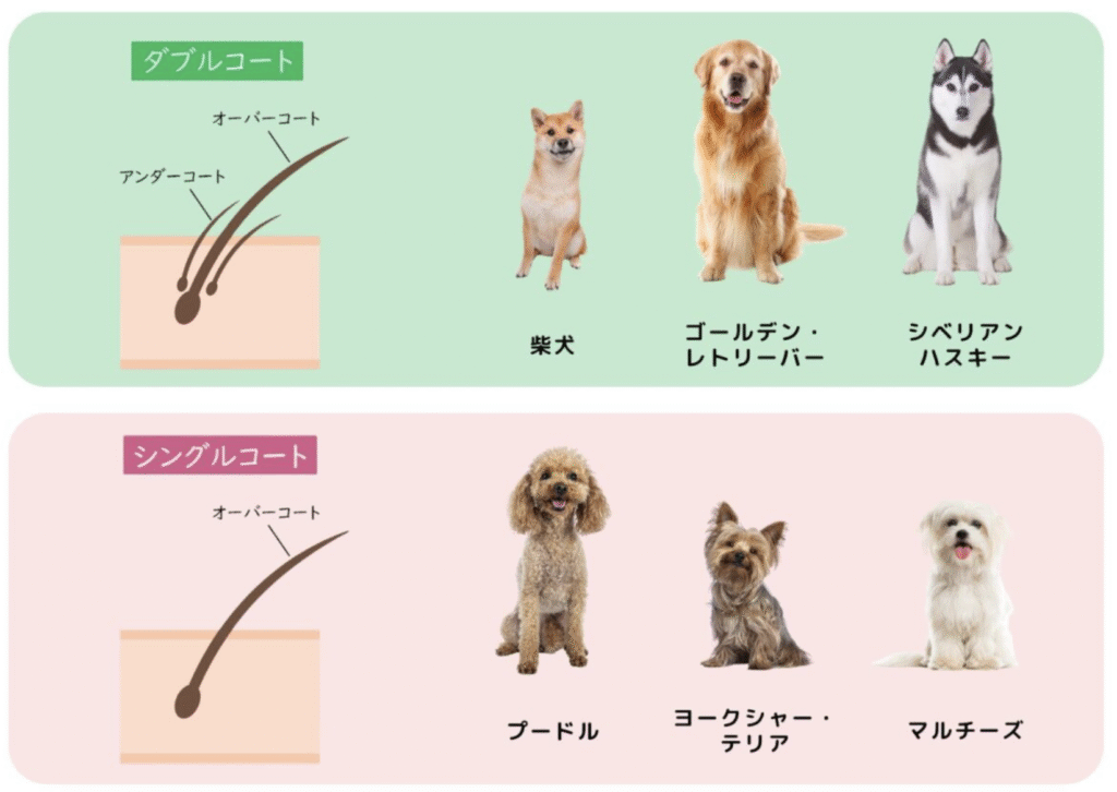 ダブルコートの説明図